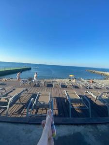 Эколоджия - 47