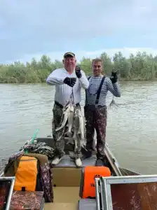 ПЛЕСъ - 41