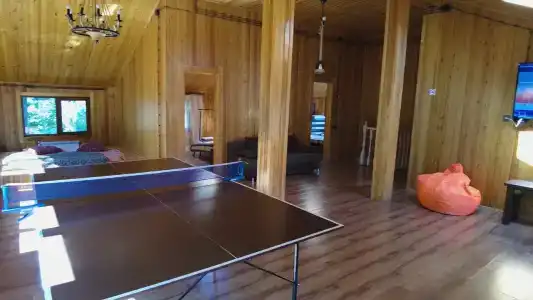 Сова - 28