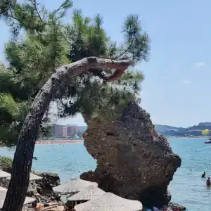 Utopia Beach Club - 75