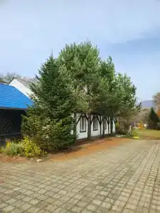 Воробьиное Плато - 30