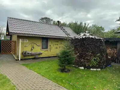 Три кота - 63