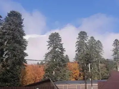 Звезда - 47
