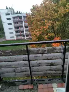 Красный Бор - 84