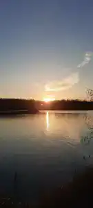 Берёзка - 23