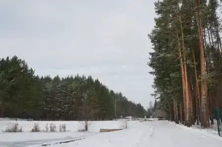 Серебряные ключи - 62