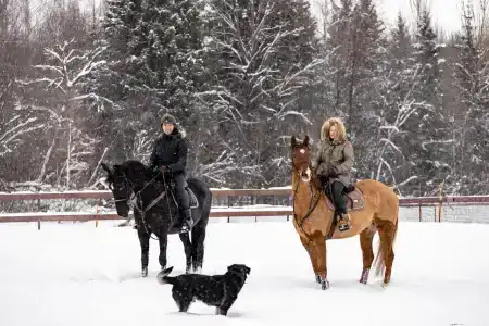 Четыре Сезона - 23