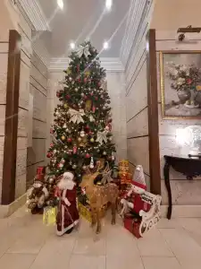 Палас - 16