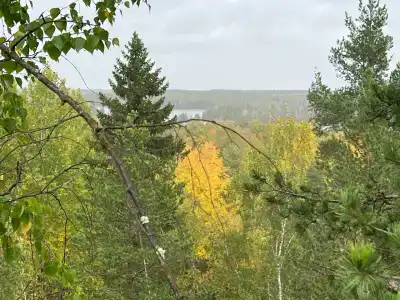 Хутор Марья - 40