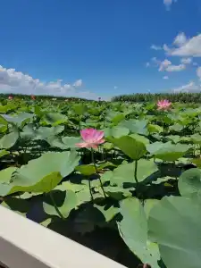 Азов Бриз - 7