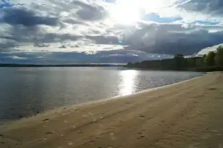 Сосновые дома - 80