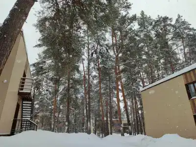 Времена Года - 39