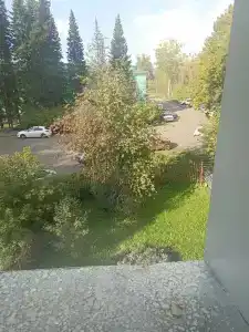 Гаузский - 28