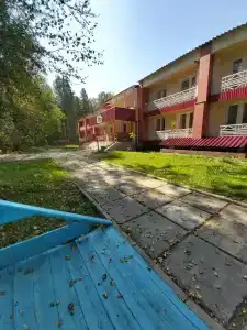 Кедр - 11