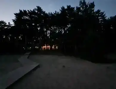 Сосновый бор - 14