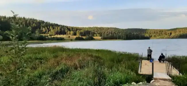Хутор Нестора - 40