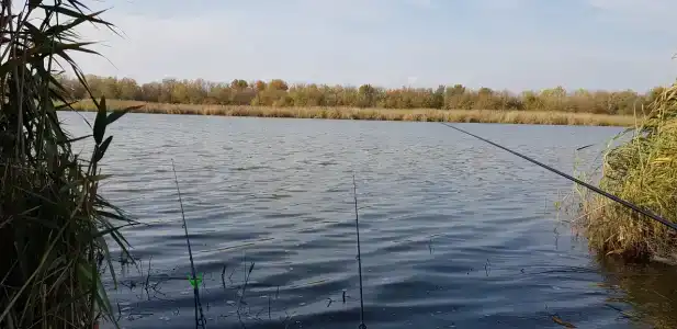 База отдыха на Сладком лимане - 2