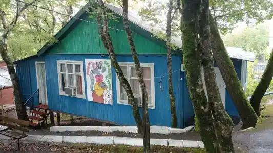 Экспресс - 44