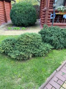 Гостевой дом Элиза Заркау - 48