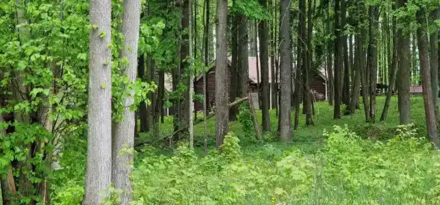Ильинское подворье - 13