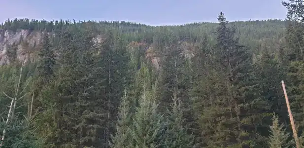 Найман - 34