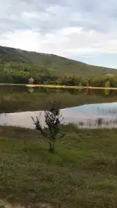 Скелепарк - 94