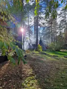 Дача в соснах - 2