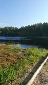 Динамо - 29