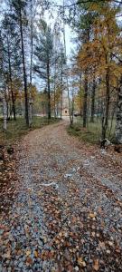 Уросъярви - 79