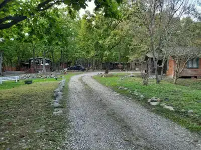 Гринвилль - 2