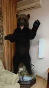 Лесная поляна - 6