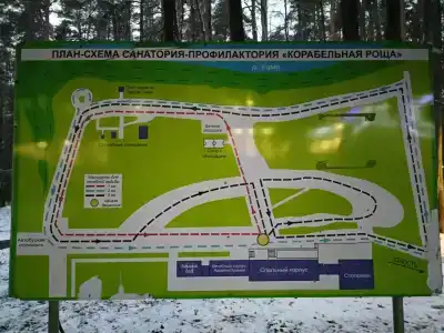Корабельная роща - 15