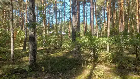 Улыбышево - 32