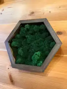 Морошка Эко Вилладж - 46