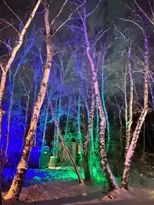 ForestHouse Лесной домик - 84