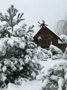 Серый Волк - 77