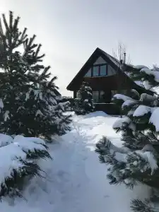 Серый Волк - 80