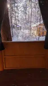 Сосновые дома - 59