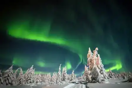 Каравелла - 88