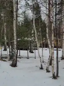 Кибик - 73