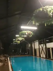 Времена Года - 98