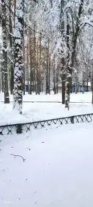 Лесная здравница - 21