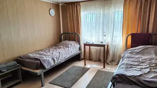 Петрович - 2