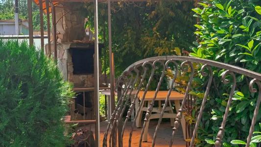 Дельфиния - 44