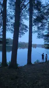 Васильево - 15