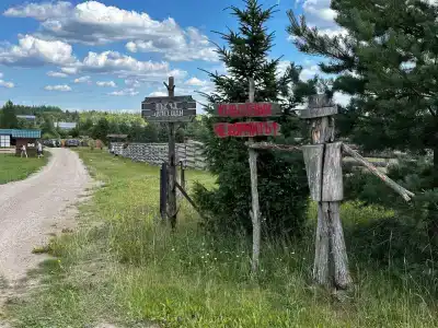Лошадкино - 25