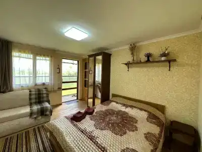 Горный родник - 29