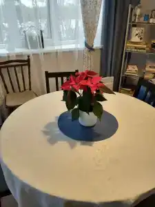В шаге от заповедника - 46