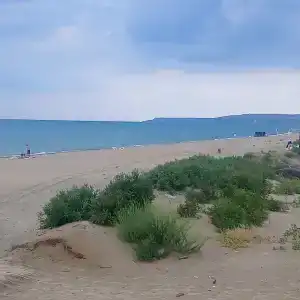 Белая дача - 4