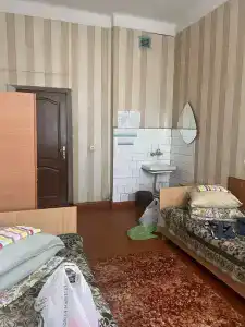 Поставы - 24